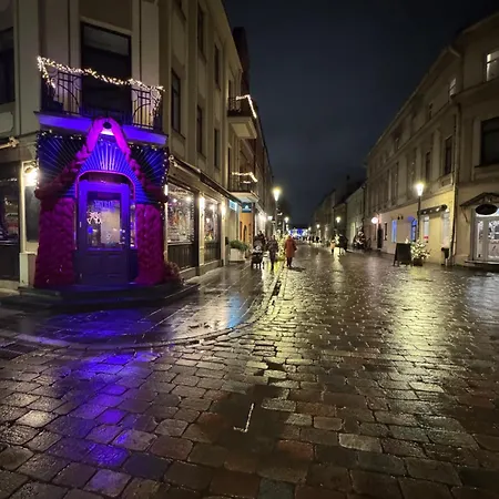 Mapu Old Town Kaunas
